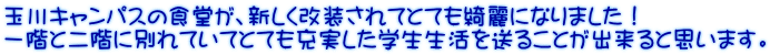 玉川キャンパスの食堂が、新しく改装されてとても綺麗になりました！ 一階と二階に別れていてとても充実した学生生活を送ることが出来ると思います。