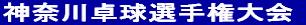 _ސ싅I茠 