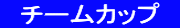 　チームカップ　