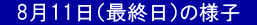 @811iŏIj̗lq@