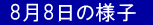 88̗lq@