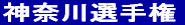 _ސI茠 
